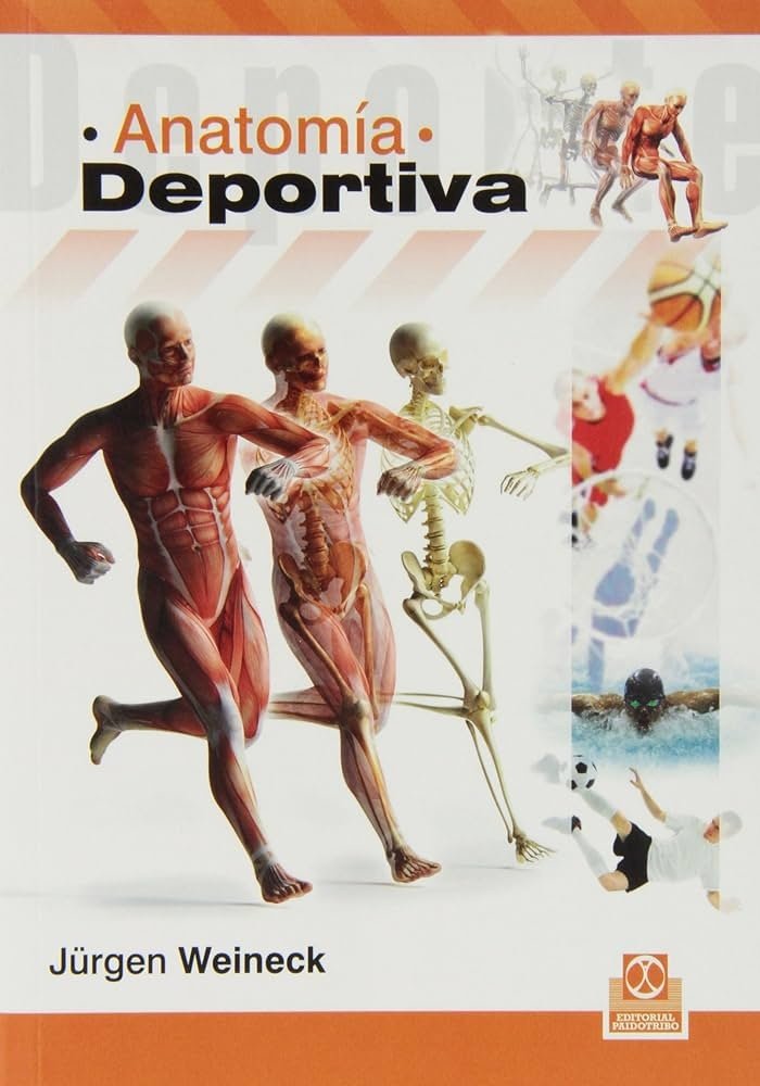ANATOMÍA DEPORTIVA