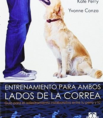 ENTRENAMIENTO PARA AMBOS LADOS DE LA CORREA