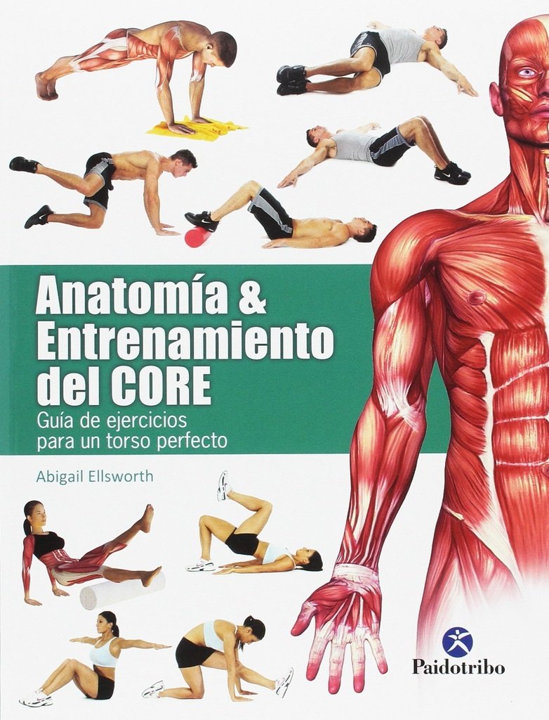 ANATOMÍA & ENTRENAMIENTO DEL CORE