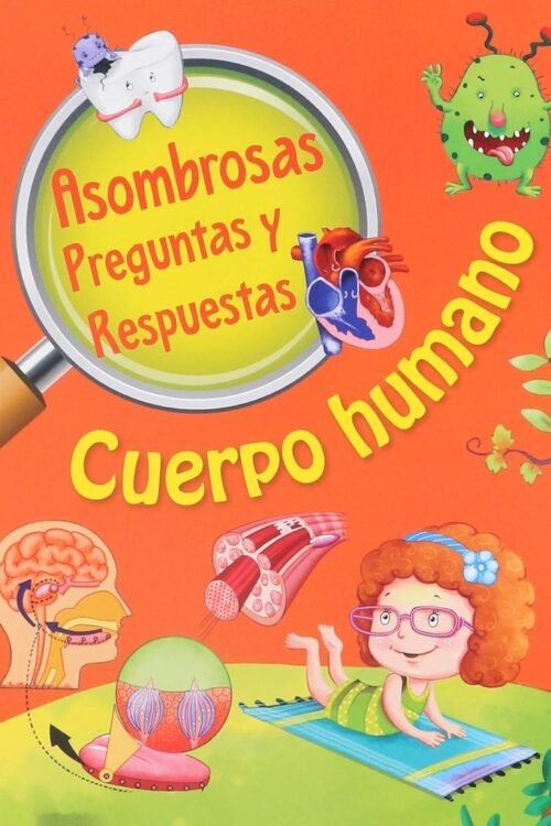 PREGUNTAS Y RESPUESTAS. CUERPO HUMANO