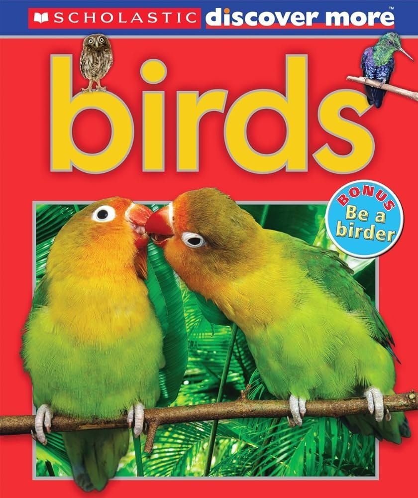 BIRDS