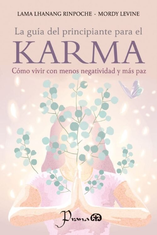LA GUIA DEL PRINCIPIANTE PARA EL KARMA